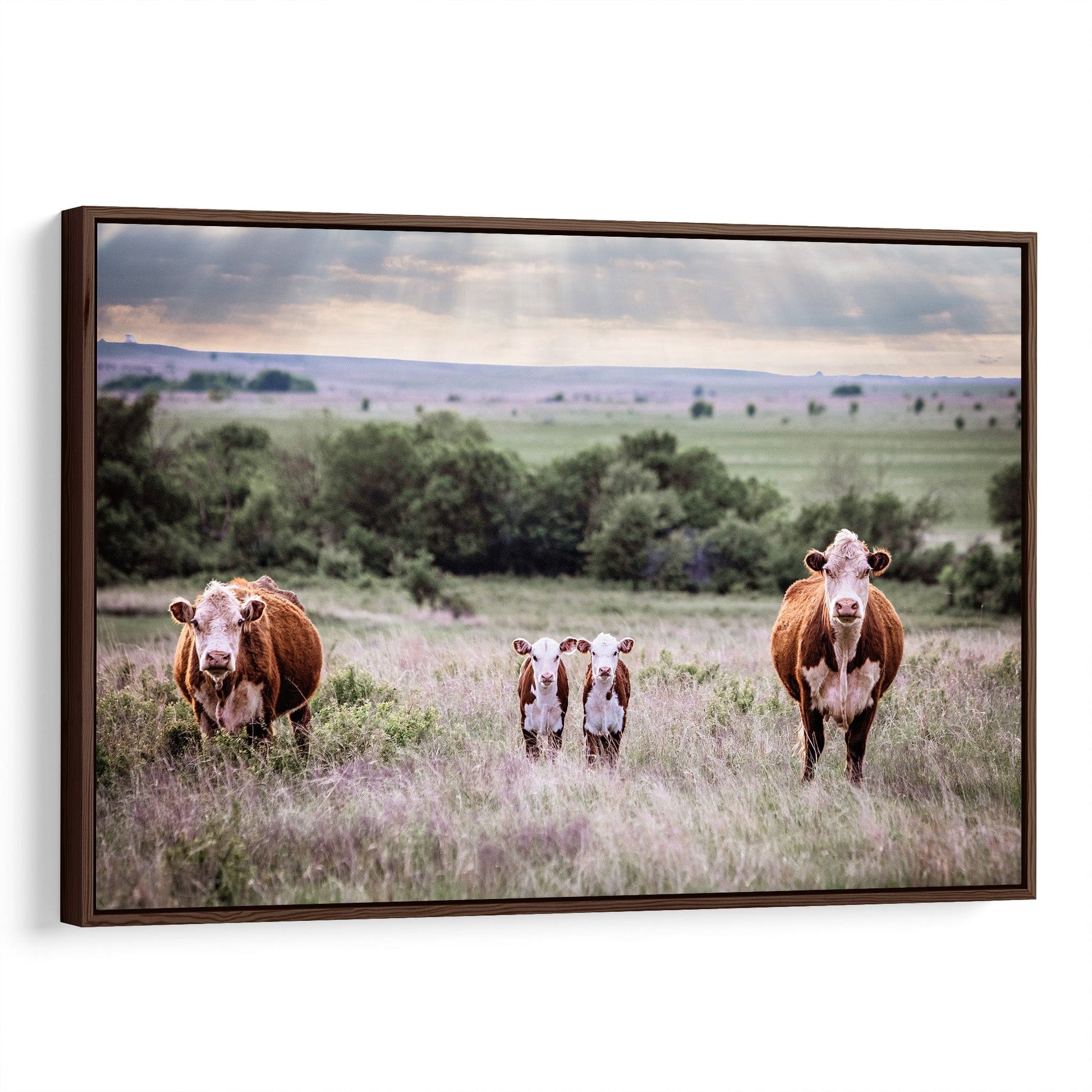 Cow Nursery Decor for Twins Canvas-Walnut Frame / 12 x 18 Inches Wall Art Teri James Photography