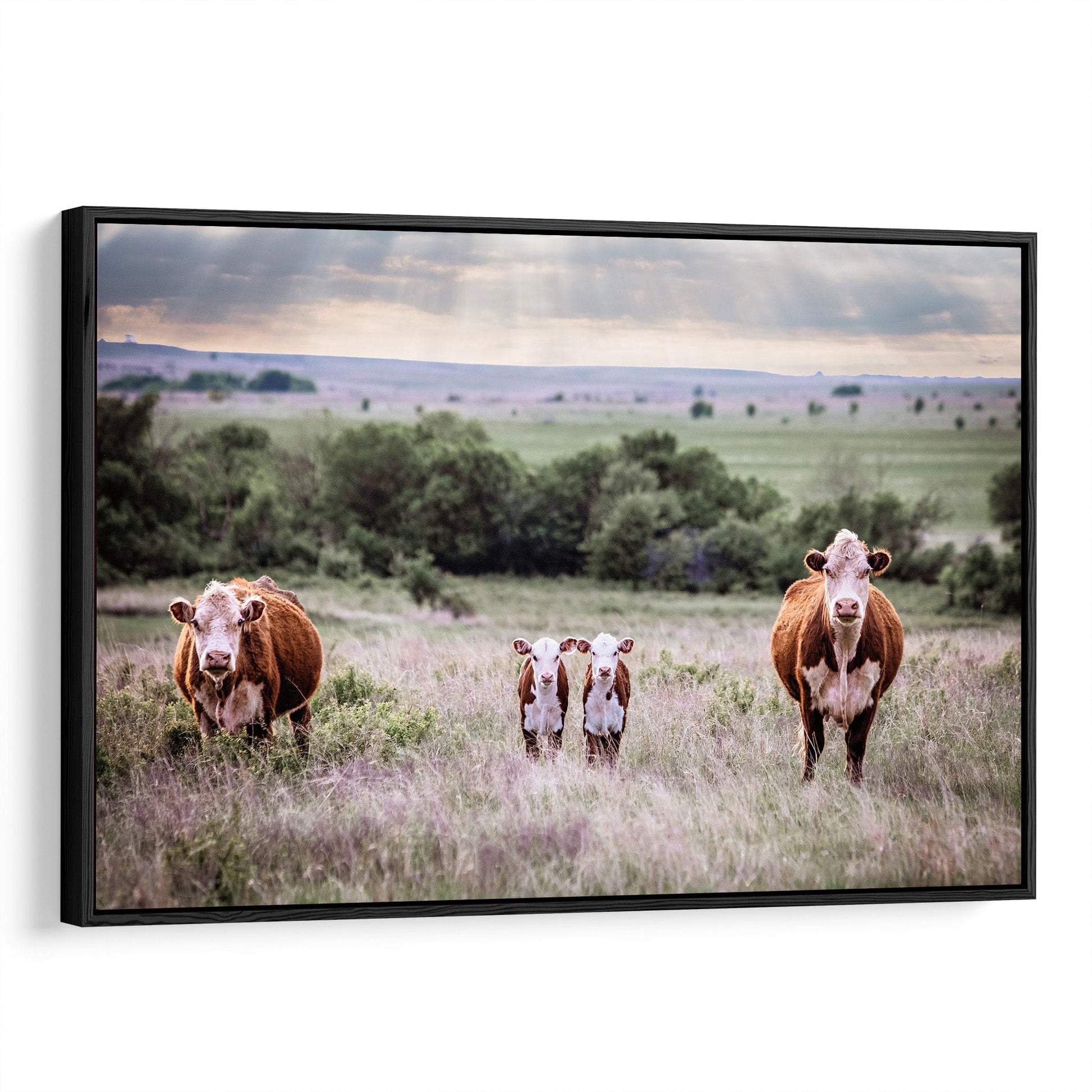 Cow Nursery Decor for Twins Canvas-Black Frame / 12 x 18 Inches Wall Art Teri James Photography