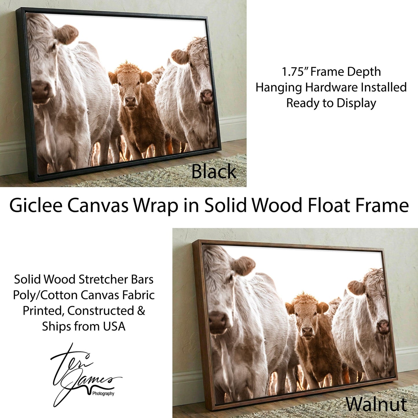 Cow Nursery Wall Art – Charolais Cattle Canvas - Playful Calf Nursery Decor Canvas-Black Frame / 12 x 18 Inches Wall Art Teri James Photography