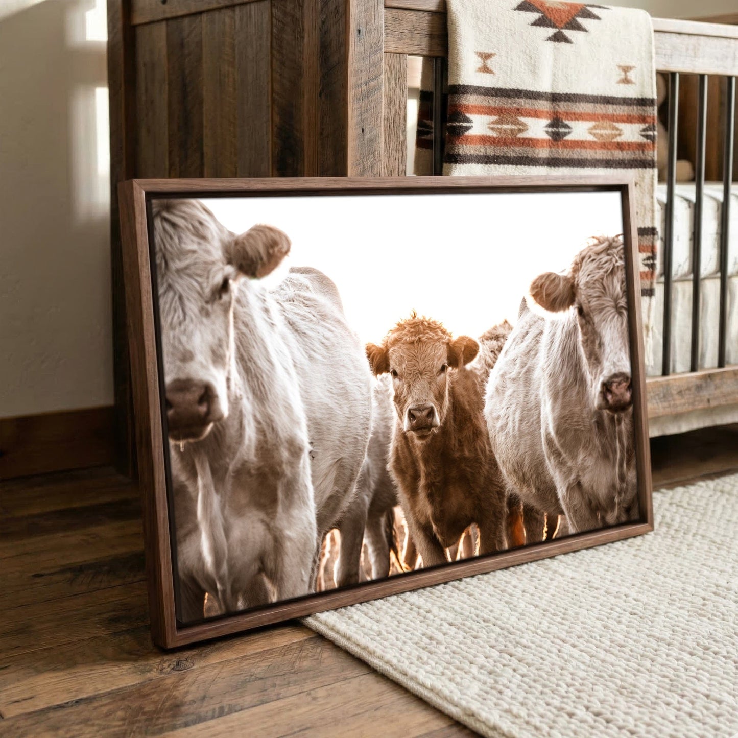 Cow Nursery Wall Art – Charolais Cattle Canvas - Playful Calf Nursery Decor Wall Art Teri James Photography