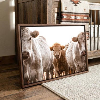 Cow Nursery Wall Art – Charolais Cattle Canvas - Playful Calf Nursery Decor Wall Art Teri James Photography