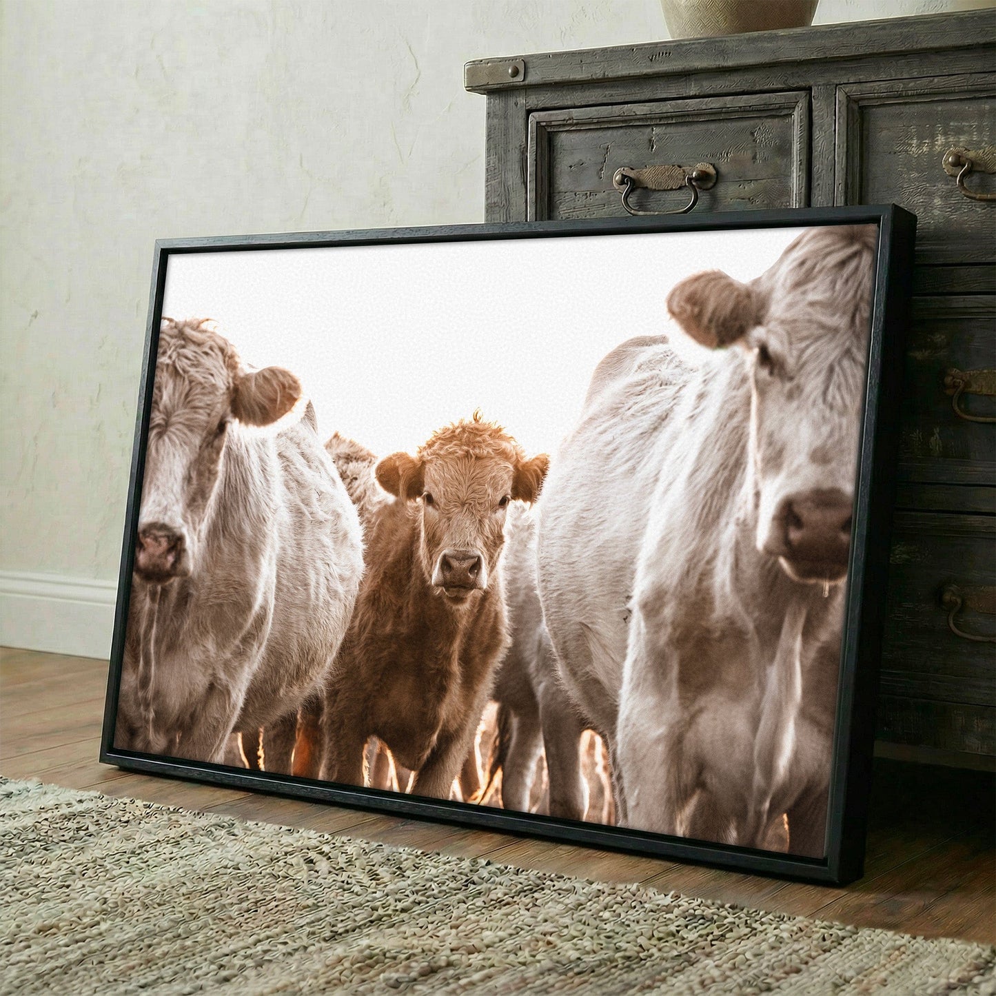 Cow Nursery Wall Art - Charolais Cattle Wall Art Teri James Photography