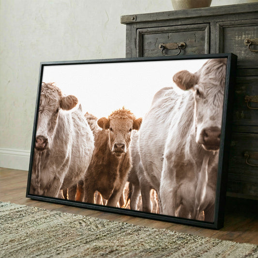 Cow Nursery Wall Art - Charolais Cattle Wall Art Teri James Photography