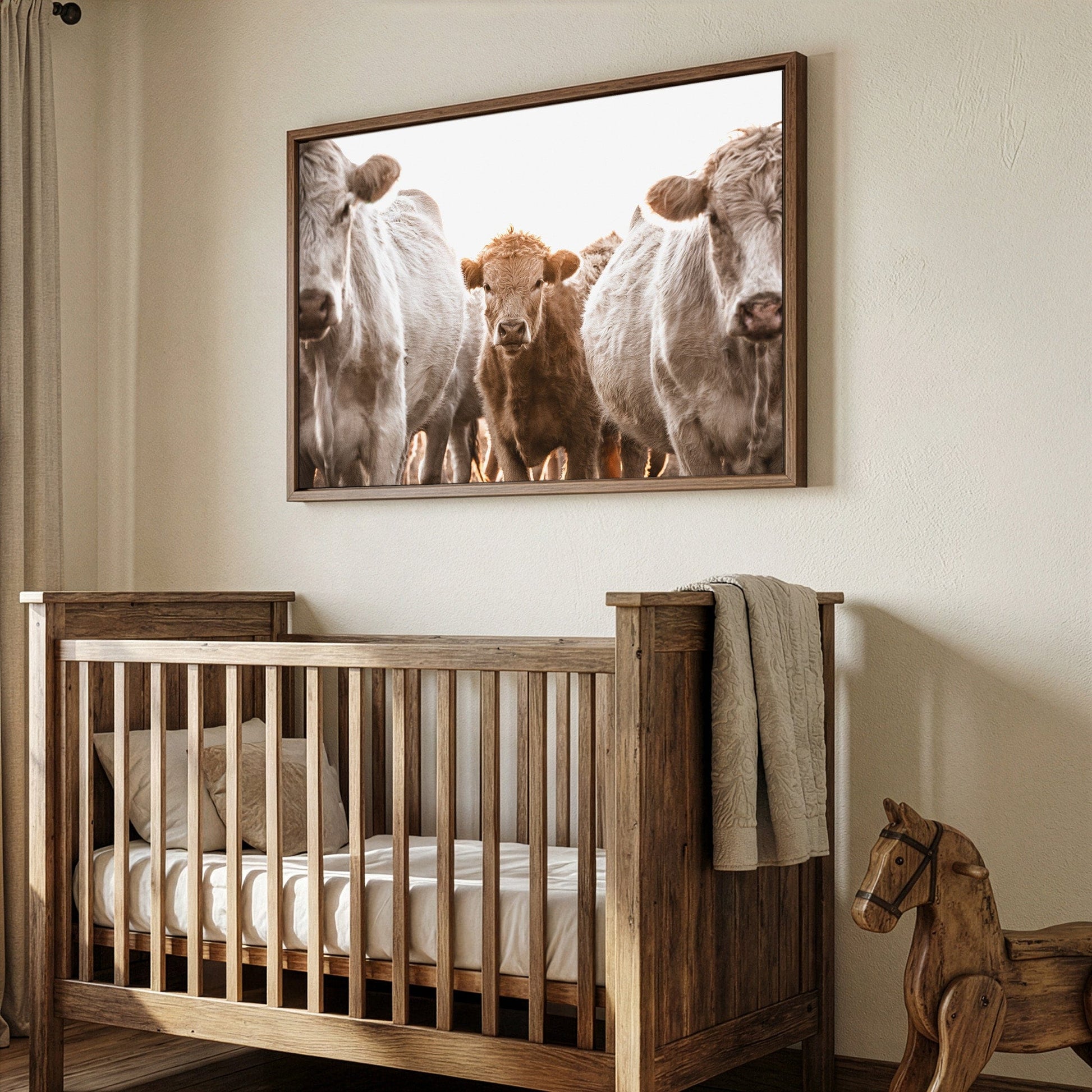 Cow Nursery Wall Art - Charolais Cattle Wall Art Teri James Photography