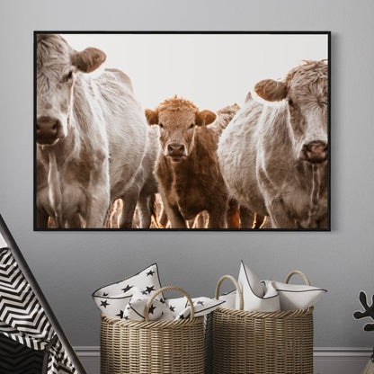 Cow Nursery Wall Art - Charolais Cows and Calf Wall Art Teri James Photography