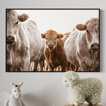 Cow Nursery Wall Art - Charolais Cows and Calf Wall Art Teri James Photography