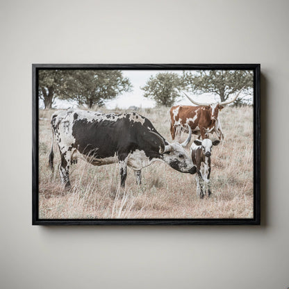 Cowboy Nursery Decor Wall Art - Longhorn Cattle