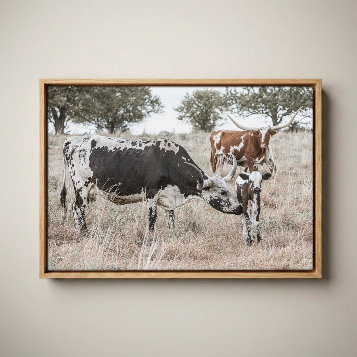 Cowboy Nursery Decor Wall Art - Longhorn Cattle Canvas-Natural Oak Float Frame / 12 x 18 Inches