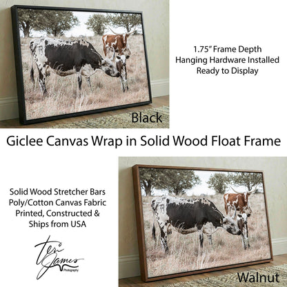 Cowboy Nursery Decor Wall Art - Longhorn Cattle Canvas-Black Frame / 12 x 18 Inches Wall Art Teri James Photography