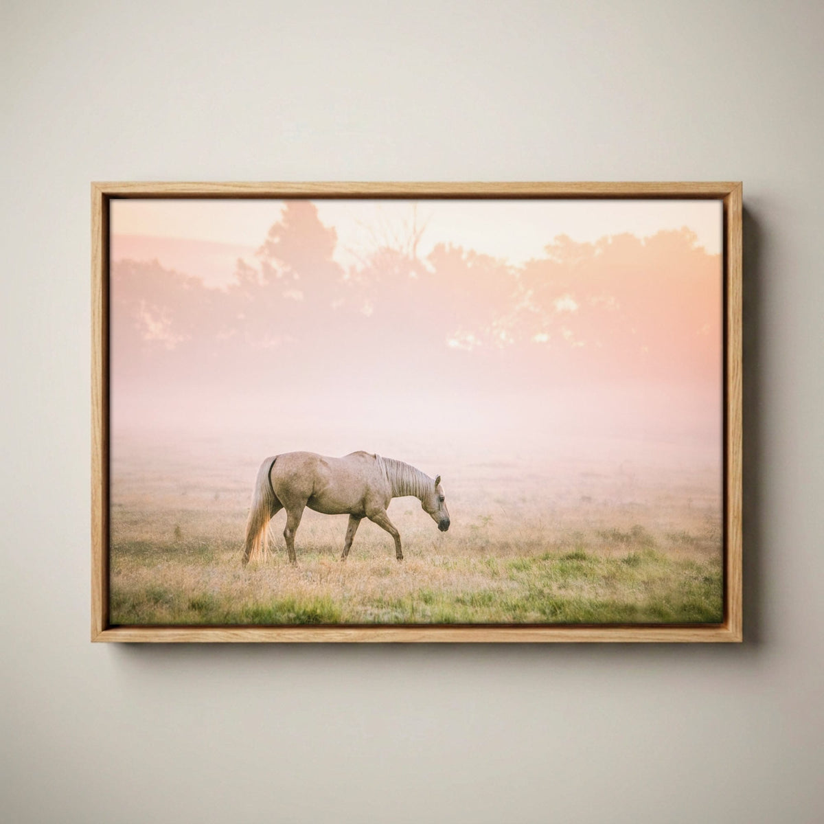 Cowgirl Nursery Decor - Pink Palomino Horse Print Canvas-Natural Oak Float Frame / 12 x 18 Inches