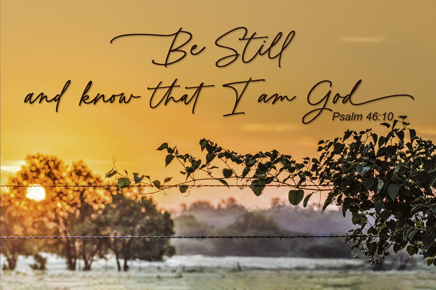Customizable Scripture Wall Art - Be Still and Know that I am God Paper Photo Print / 12 x 18 Inches Wall Art Teri James Photography