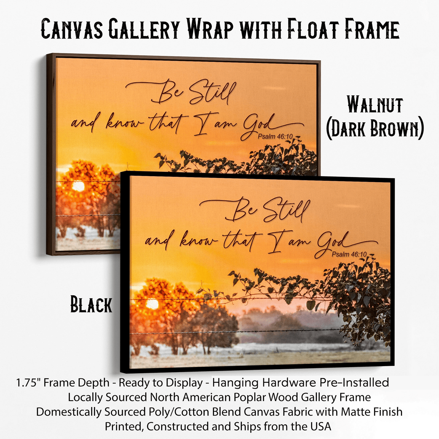 Customizable Scripture Wall Art - Be Still and Know that I am God Canvas-Black Frame / 12 x 18 Inches Wall Art Teri James Photography