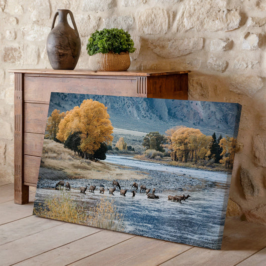 Elk in Paradise Valley Print Wall Art Teri James Photography