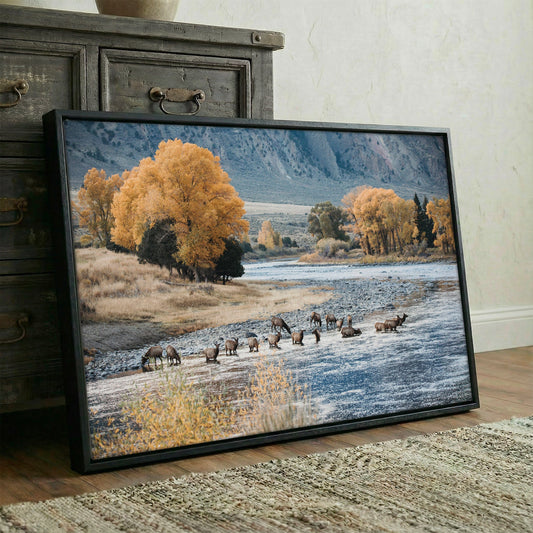 Elk in Paradise Valley Print Wall Art Teri James Photography