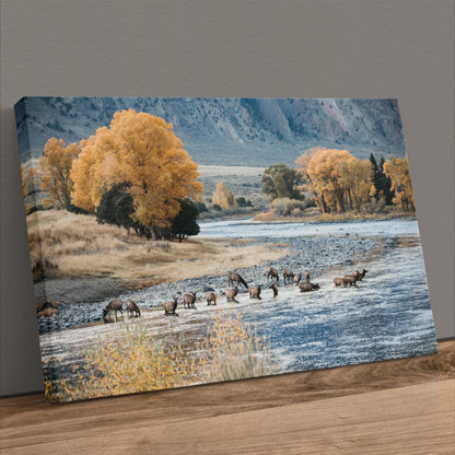 Elk Paradise Valley Print - Rustic Western Artwork & Wildlife Canvas Print Canvas-Unframed / 12 x 18 Inches Wall Art Teri James Photography