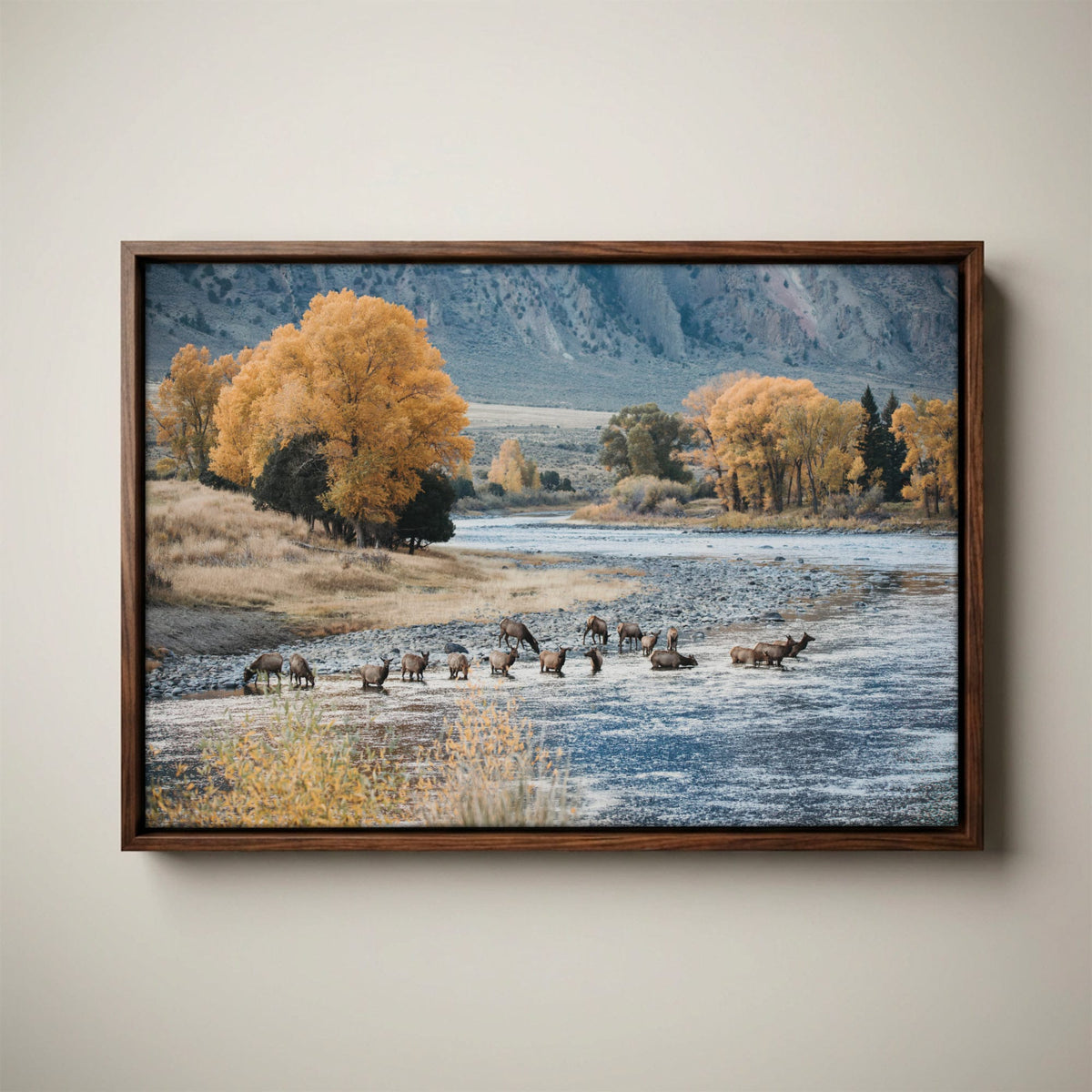 Elk Paradise Valley Print
