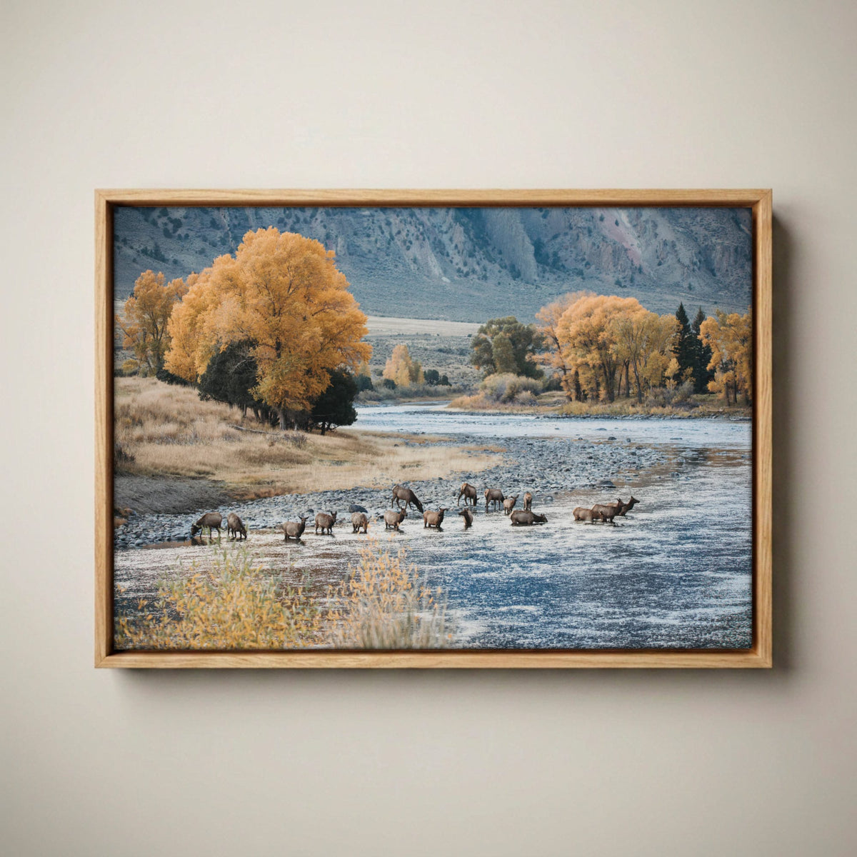 Elk Paradise Valley Print Canvas-Natural Oak Float Frame / 12 x 18 Inches