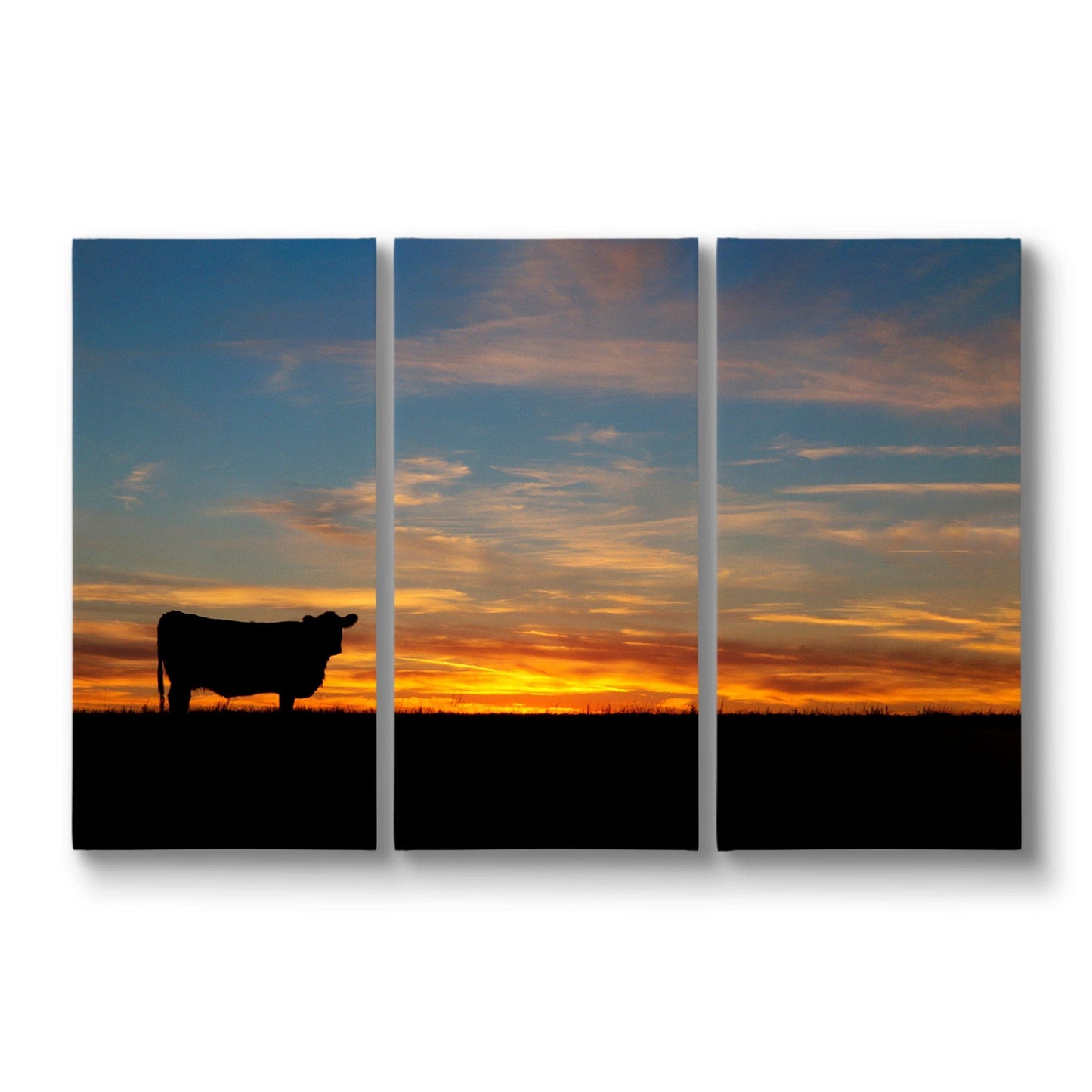 Extra Large Western Wall Art - Angus Sunset Triptych 48" x 72" (3 @ 24" x 48") Wall Art Teri James Photography
