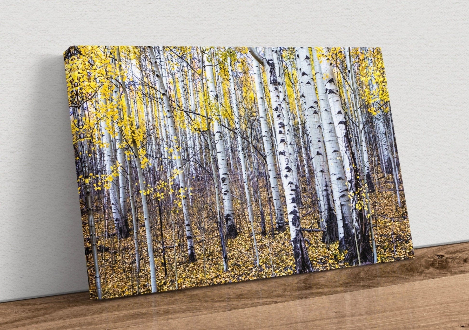 Fall Aspen Tree Wall Art - Colorado Scenic Photography Canvas-Unframed / 12 x 18 Inches Wall Art Teri James Photography