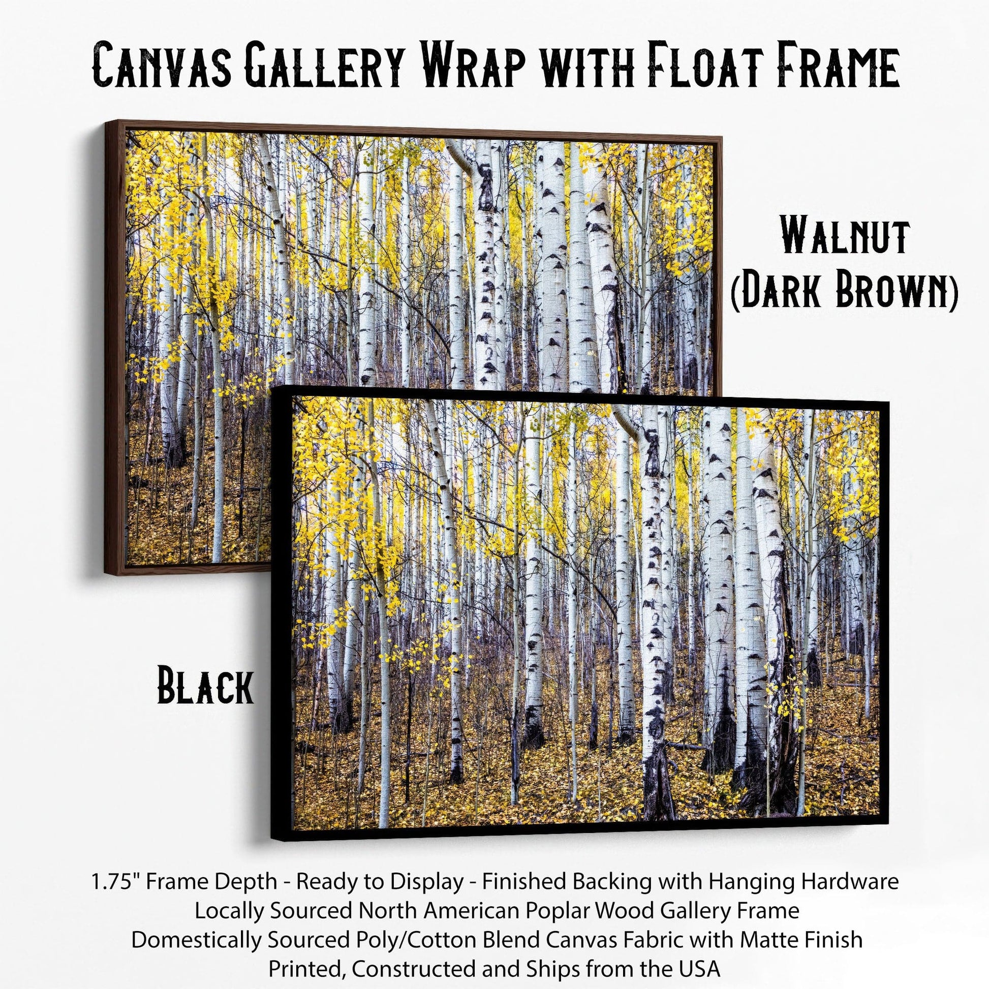 Fall Aspen Tree Wall Art - Colorado Scenic Photography Canvas-Black Frame / 12 x 18 Inches Wall Art Teri James Photography