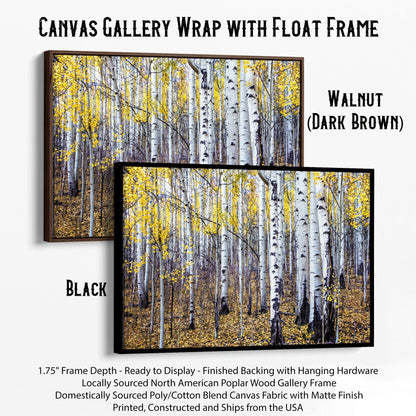 Fall Aspen Tree Wall Art - Colorado Scenic Photography Canvas-Black Frame / 12 x 18 Inches Wall Art Teri James Photography