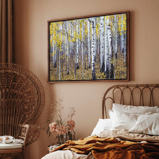 Fall Aspen Tree Wall Art - Colorado Scenic Photography Wall Art Teri James Photography