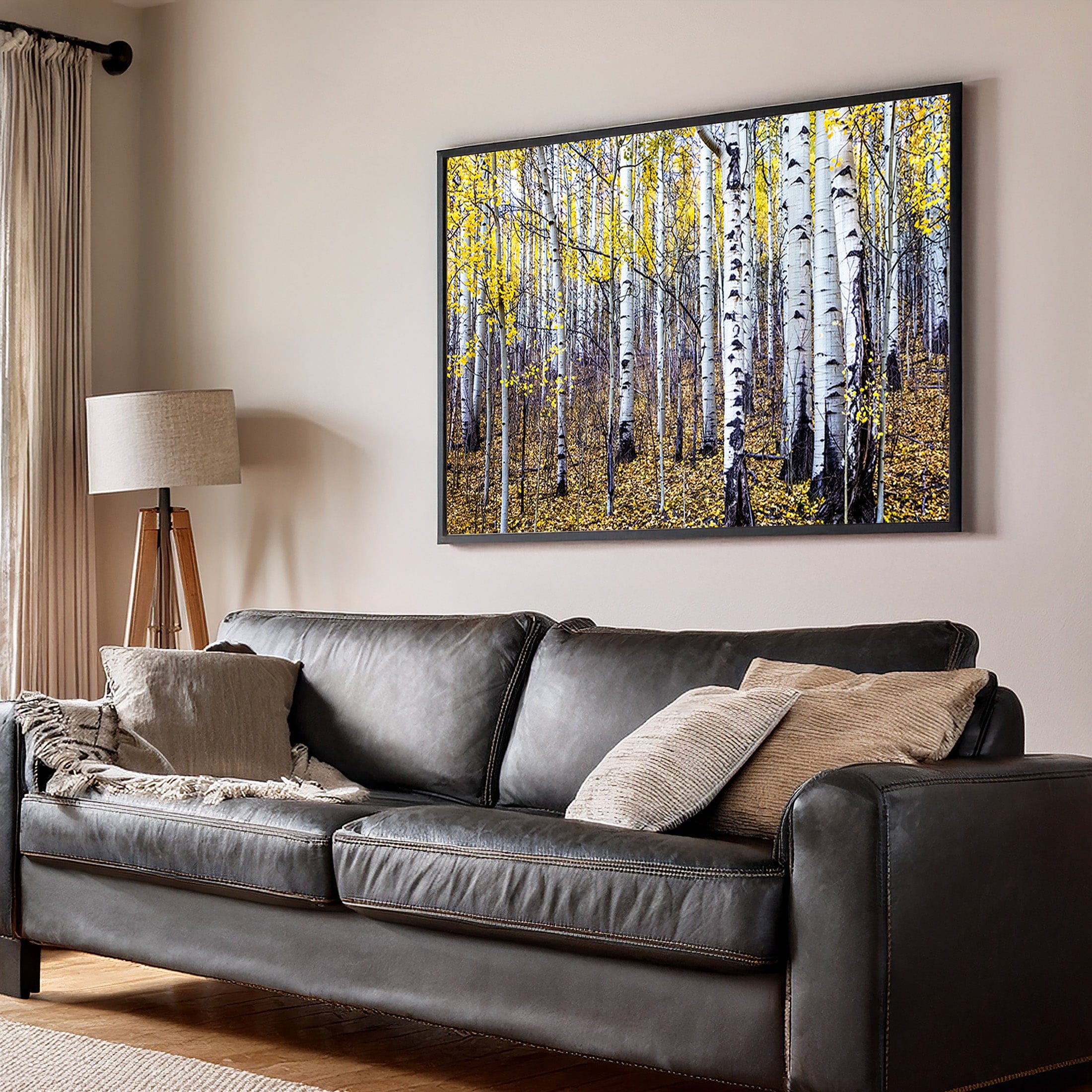 Fall Aspen Tree Wall Art | Colorful Colorado