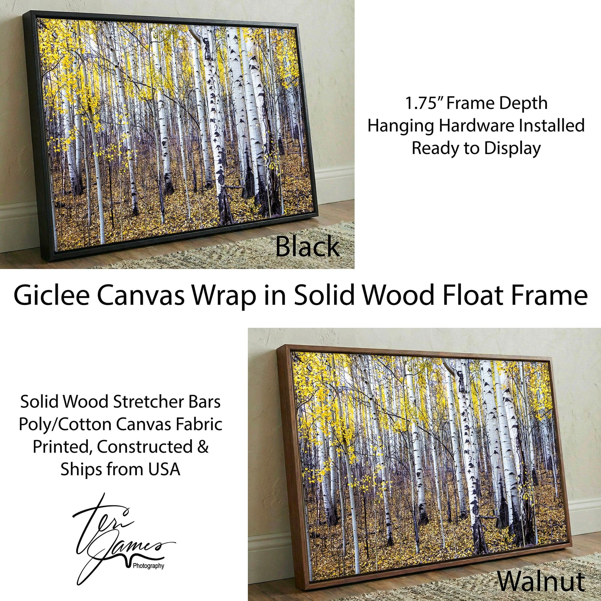 Fall Aspen Tree Wall Art - Colorado Scenic Photography Canvas-Black Frame / 12 x 18 Inches Wall Art Teri James Photography