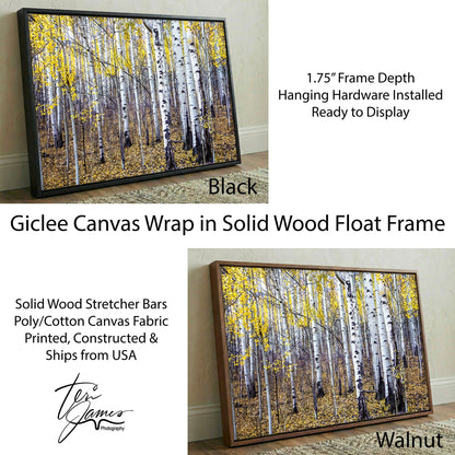 Fall Aspen Tree Wall Art - Colorado Scenic Photography Canvas-Black Frame / 12 x 18 Inches Wall Art Teri James Photography