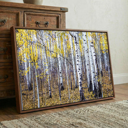 Fall Aspen Tree Wall Art - Colorado Scenic Photography Wall Art Teri James Photography