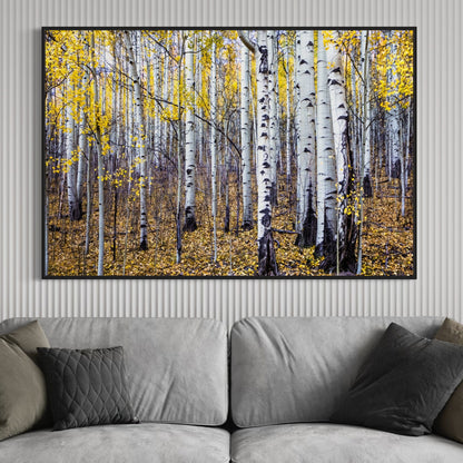 Fall Aspen Tree Wall Art - Colorado Scenic Photography Wall Art Teri James Photography