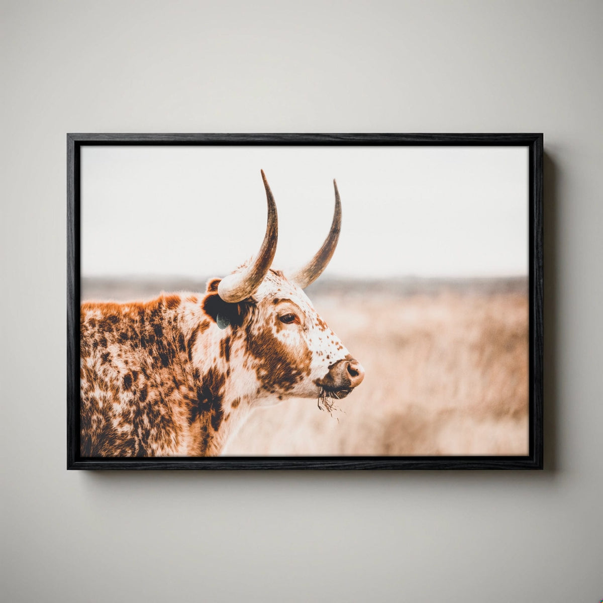 Farmhouse Longhorn Decor - Rustic Wall Art Sepia Canvas Print