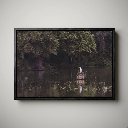 Great Egret - Rural Landscape Wall Art