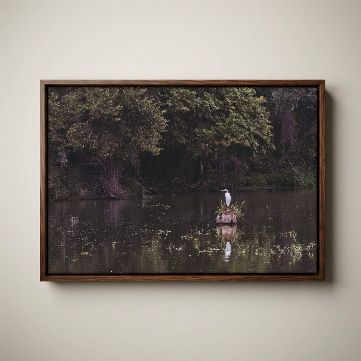 Great Egret - Rural Landscape Wall Art