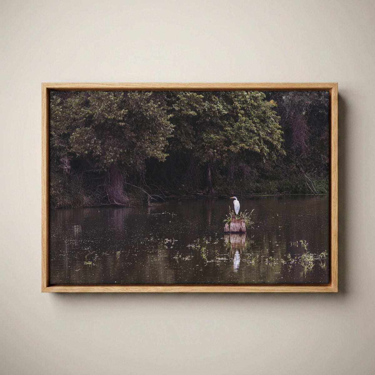 Great Egret - Rural Landscape Wall Art Canvas-Natural Oak Float Frame / 12 x 18 Inches