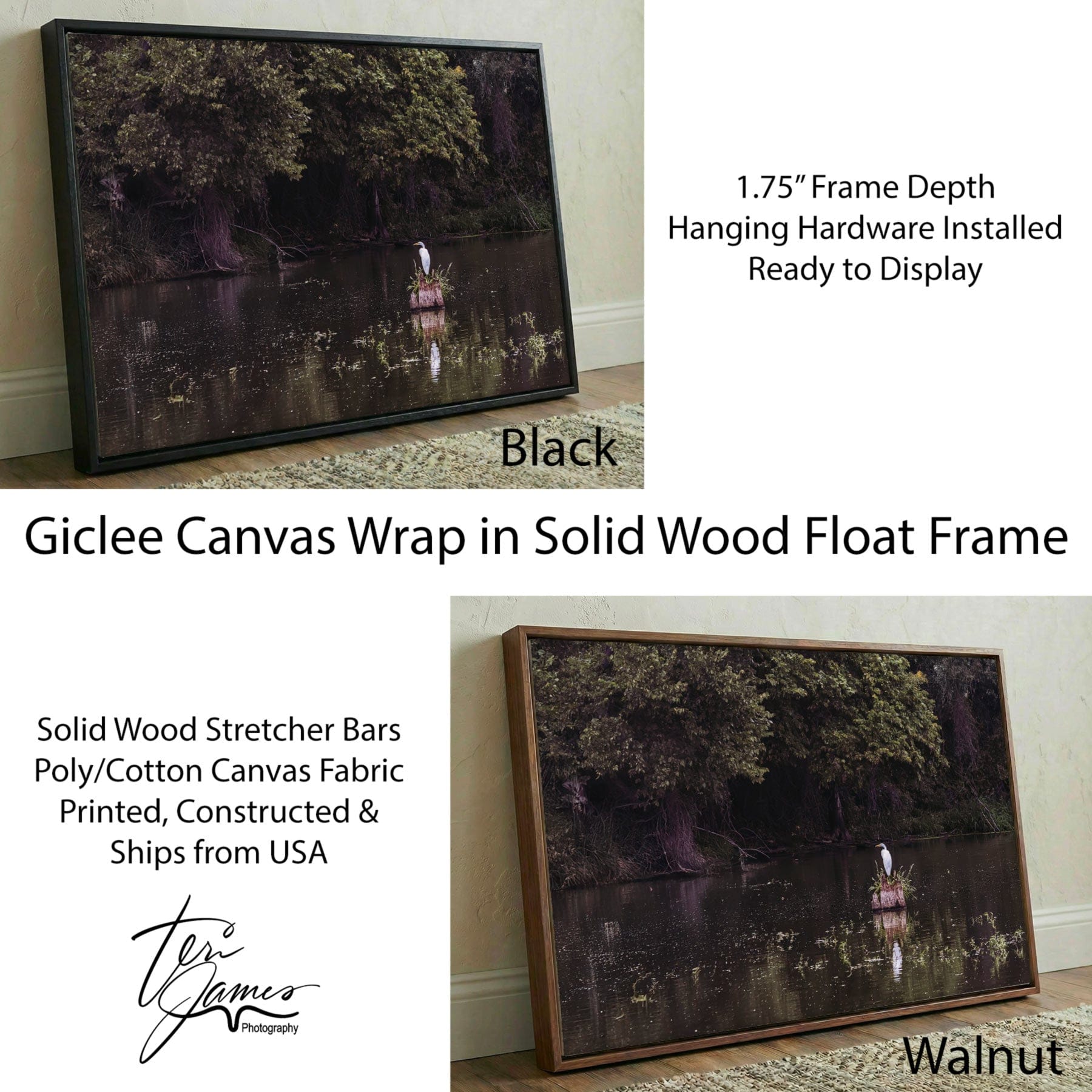 Great Egret - Rural Landscape Wall Art Canvas-Black Frame / 12 x 18 Inches Wall Art Teri James Photography