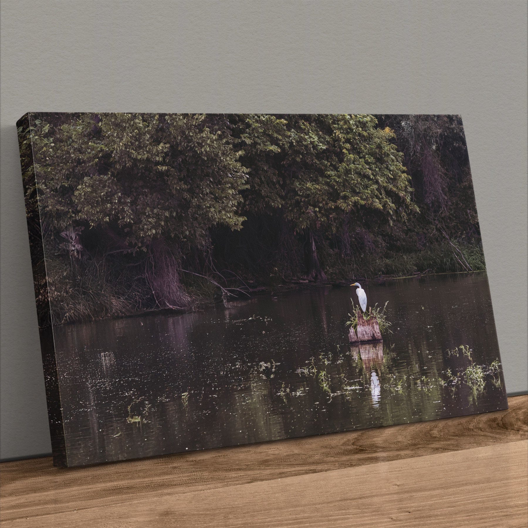 Great Egret - Rural Landscape Wall Art Canvas-Unframed / 12 x 18 Inches Wall Art Teri James Photography