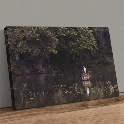 Great Egret - Rural Landscape Wall Art Canvas-Unframed / 12 x 18 Inches Wall Art Teri James Photography