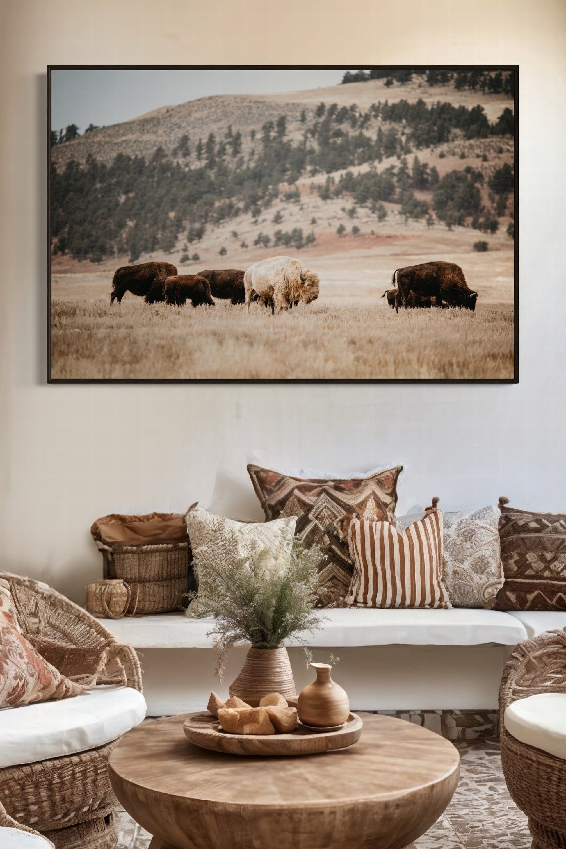Great White Buffalo Canvas Print - Spirit Bison Wall Art Teri James Photography