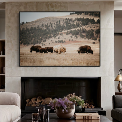 Great White Buffalo Canvas Print - Spirit Bison Wall Art Teri James Photography