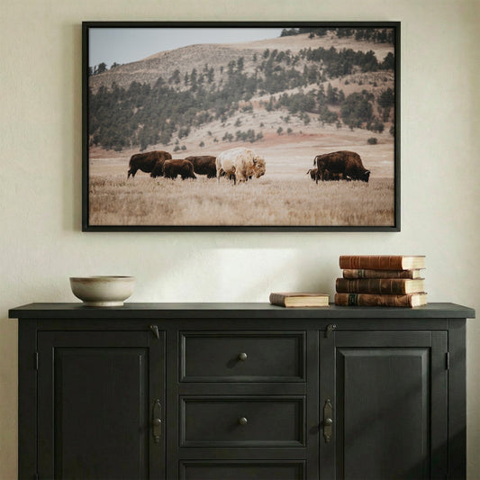 Great White Buffalo Canvas Print - Spirit Bison Wall Art Teri James Photography