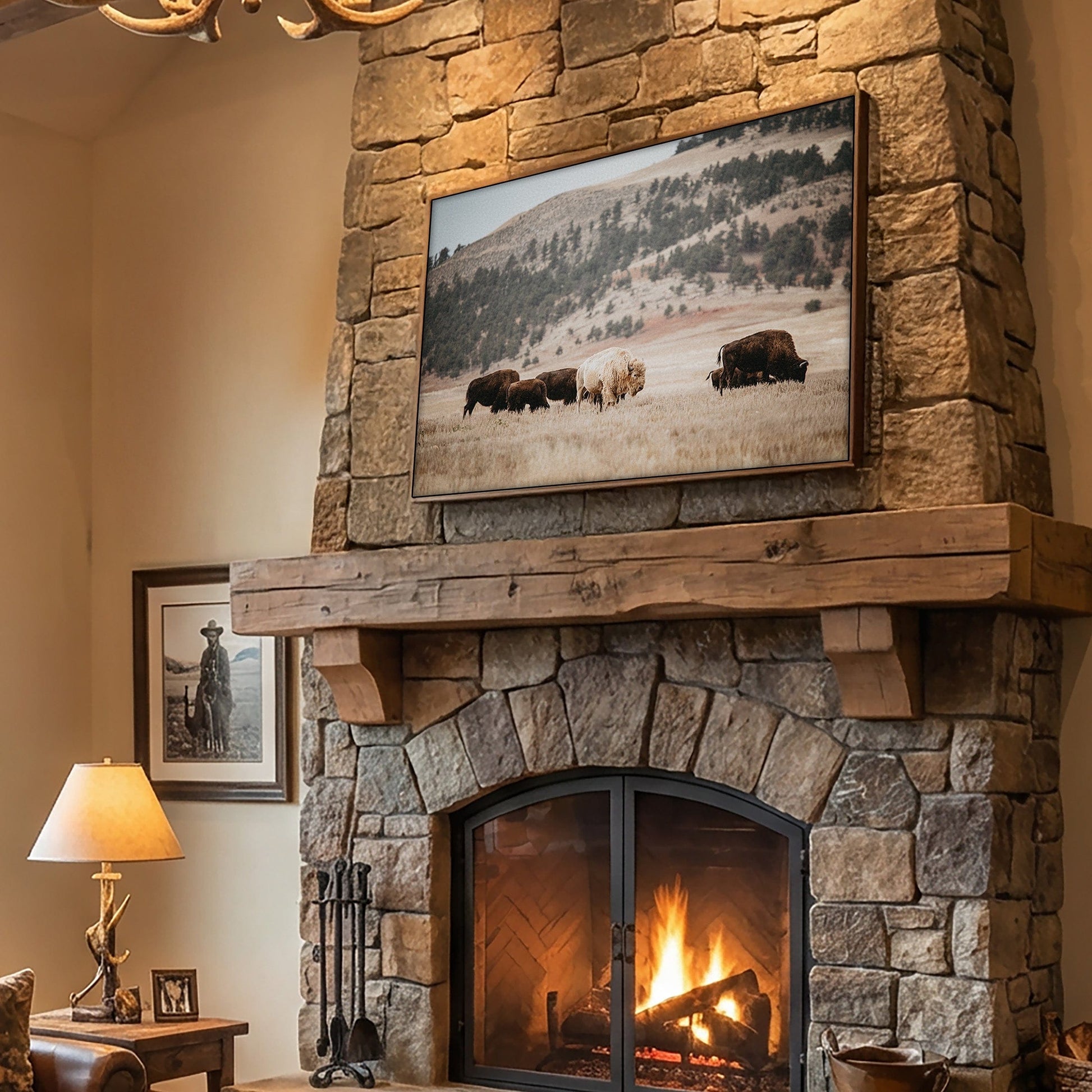 Great White Buffalo Canvas Print - Spirit Bison Wall Art Teri James Photography