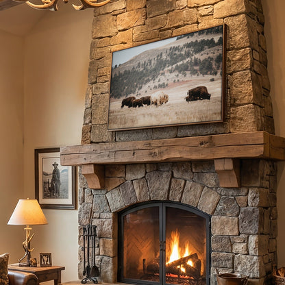 Great White Buffalo Canvas Print - Spirit Bison Wall Art Teri James Photography