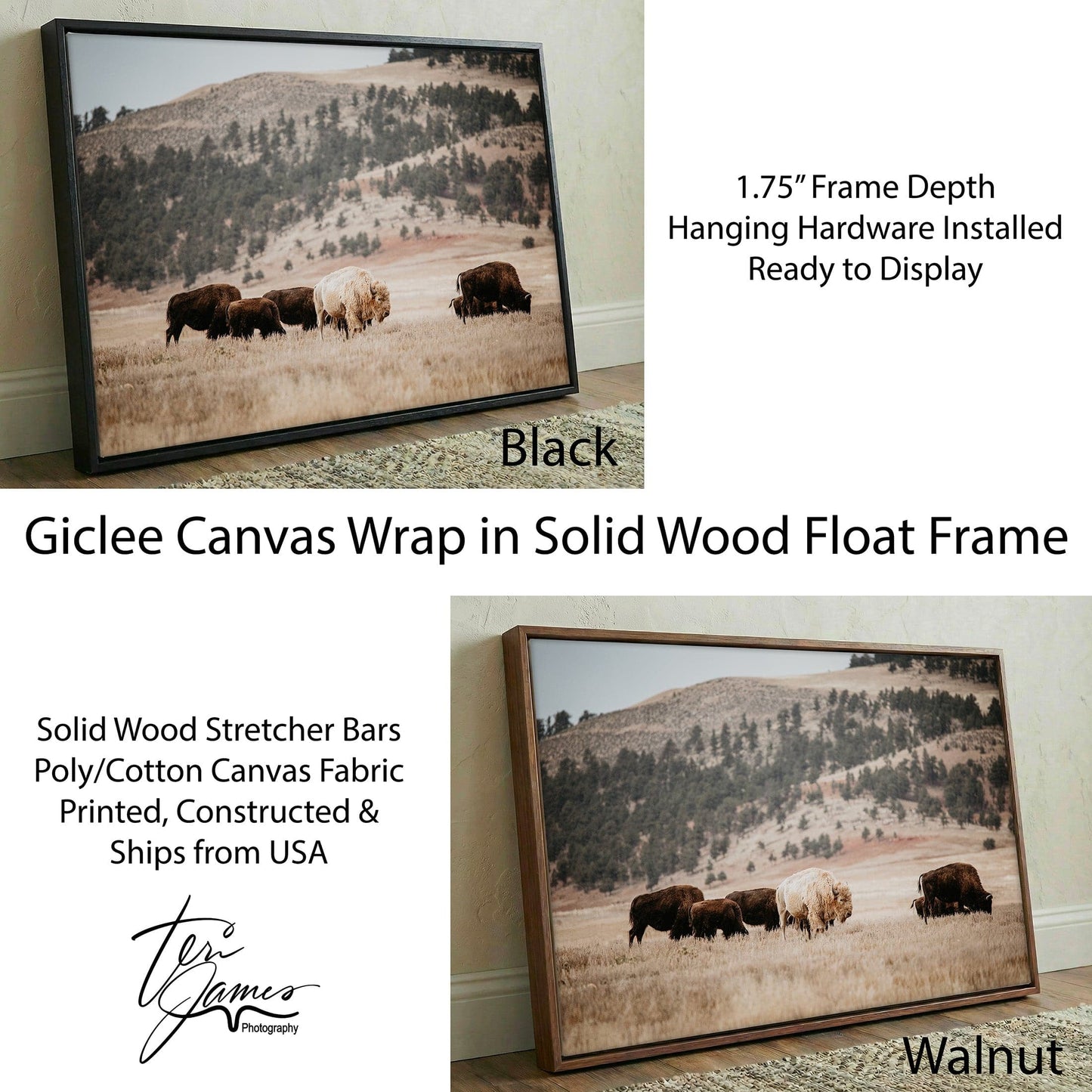Great White Buffalo Canvas Print - Spirit Bison Canvas-Black Frame / 12 x 18 Inches Wall Art Teri James Photography