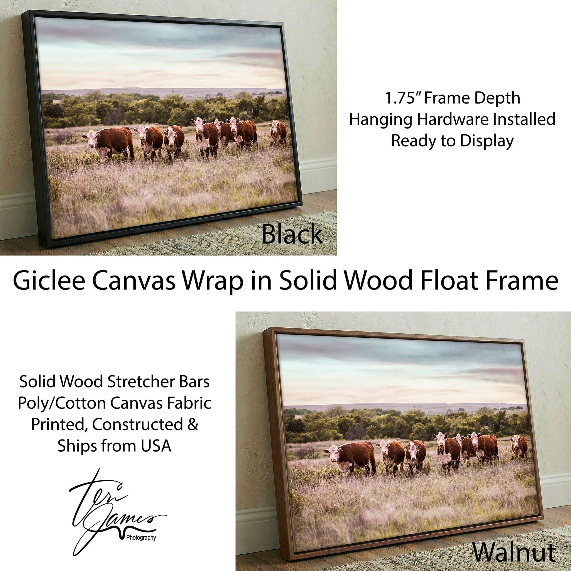 Hereford Cattle Wall Art - Rustic Farmhouse Canvas Print For Western Ranch Decor Canvas-Black Frame / 12 x 18 Inches Wall Art Teri James Photography