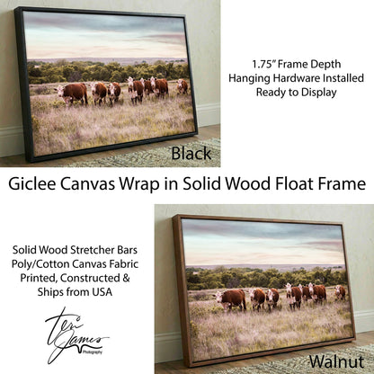 Hereford Cattle Wall Art - Rustic Farmhouse Canvas Print For Western Ranch Decor Canvas-Black Frame / 12 x 18 Inches Wall Art Teri James Photography