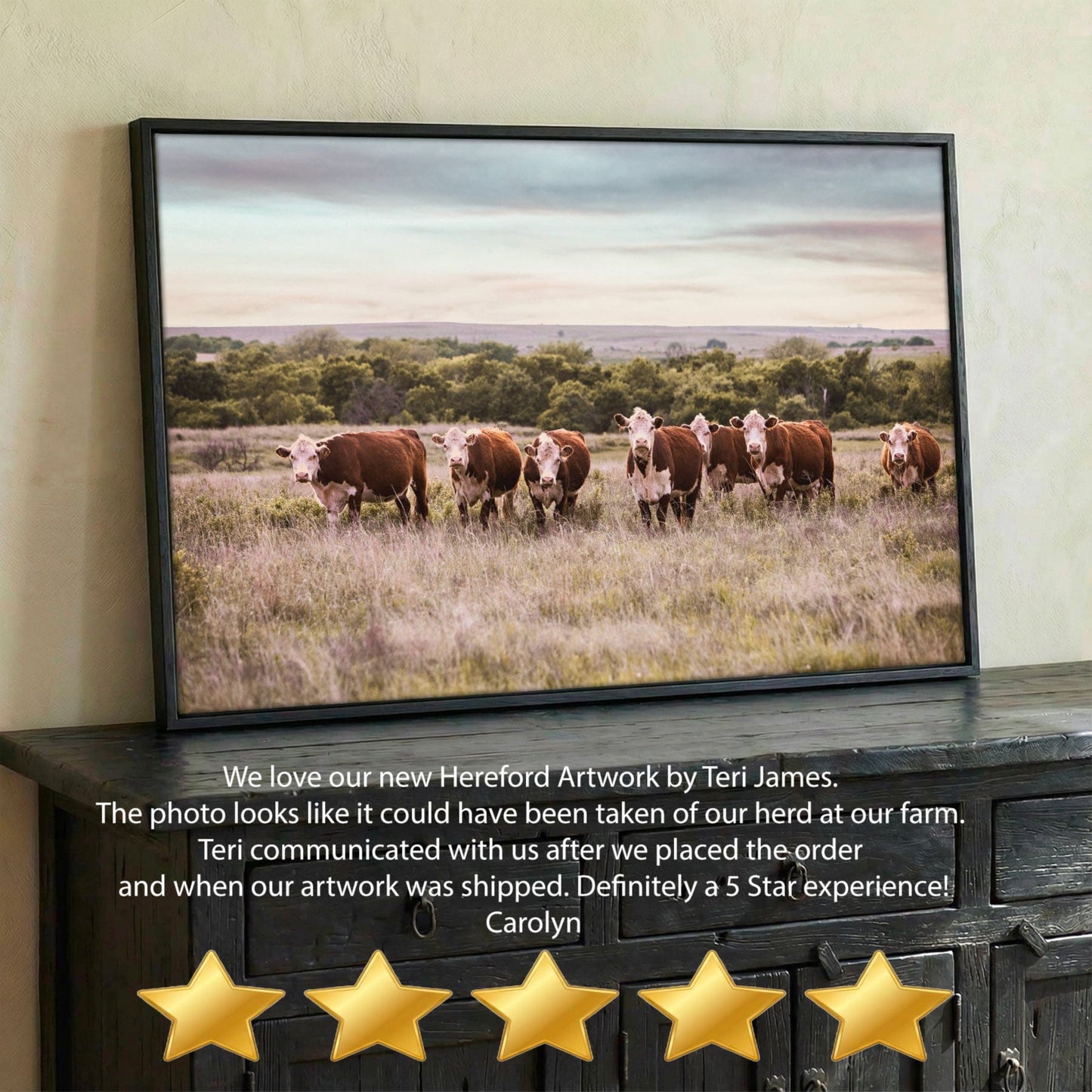 Hereford Cattle Wall Art - Rustic Farmhouse Canvas Print For Western Ranch Decor Wall Art Teri James Photography