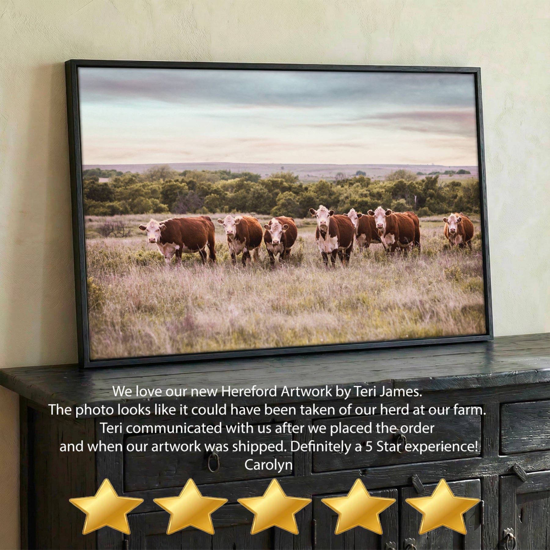 Hereford Cattle Wall Art - Rustic Farmhouse Canvas Print For Western Ranch Decor Wall Art Teri James Photography