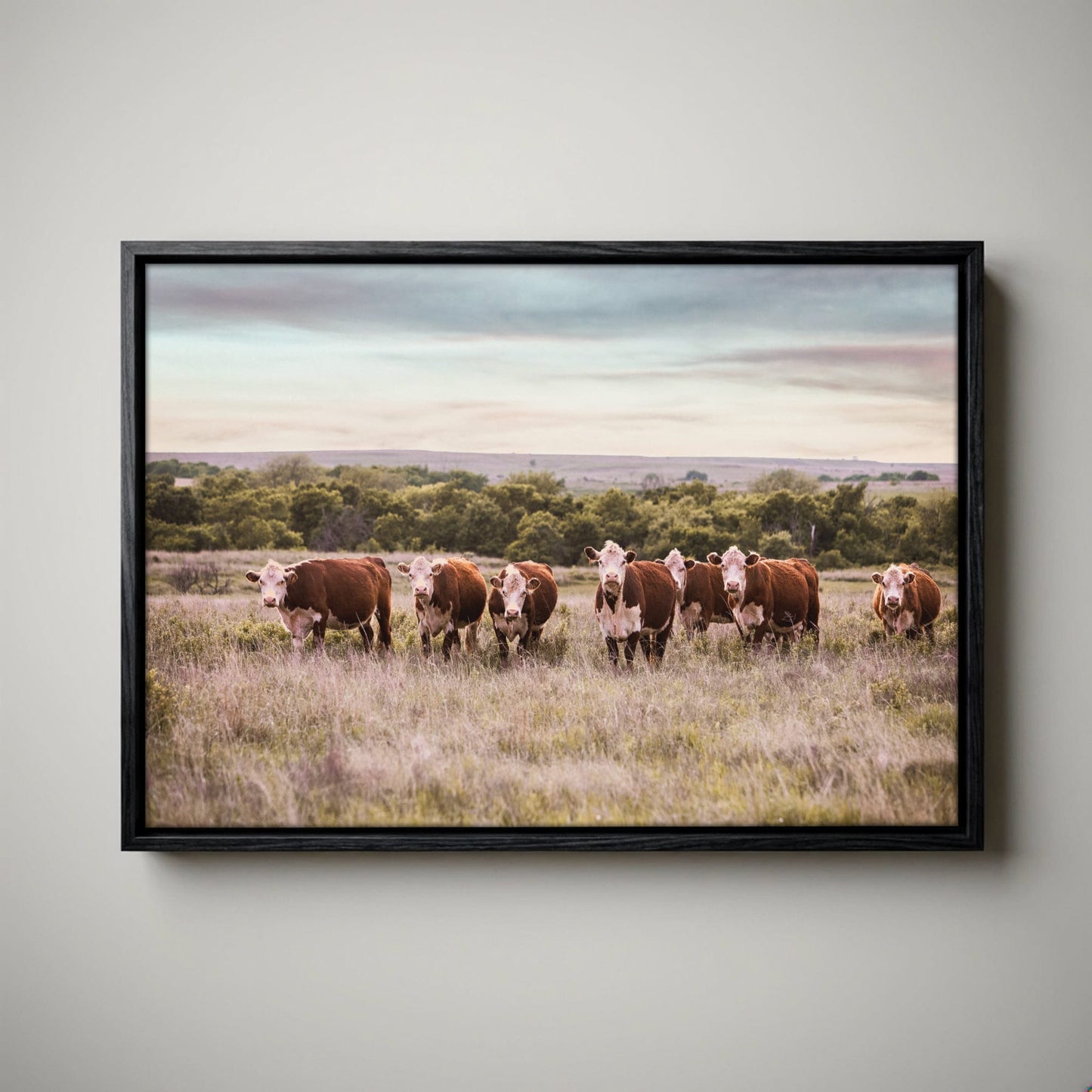 Hereford Cattle Wall Art - Rustic Farmhouse Canvas