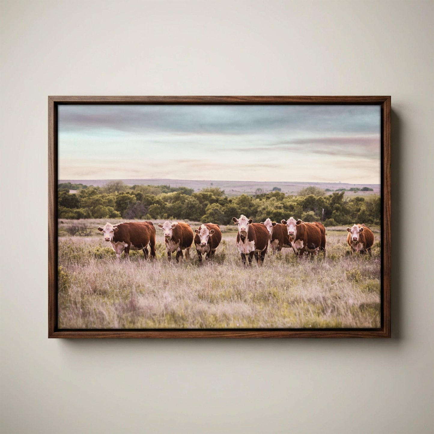 Hereford Cattle Wall Art - Rustic Farmhouse Canvas